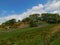 A green valley with trees in the Lake District