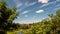 Green, vast park, pond and distant buildings under a blue summer sky