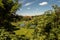 Green, vast park, pond and distant buildings under a blue summer sky