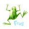 Green vector frog painted in engraving style