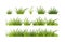 Green vector grass, horizontal border. A set of elements for design, green meadow, spring greenery, plants for a summer