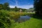 Green vegetable garden of a private house