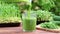 Green vegetable smoothie is pouring into a glass against background of greenery and microgreen. Healthy, vegan food