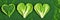 green vegetables background. Heart shape by vegetables. Green vegetables and leafy food background of fresh garden produce,