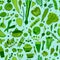 Green vegetables, detox. Seamless pattern design