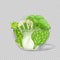 Green vegetables in glass transparent bowl, healthy foods, cabbage, asparagus, broccoli and fennel. Spinach and