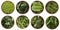 Green vegetables isolated on a white background. Brocoli, green peas, cucumbers and leaves parsley, celery, spinach in wooden bowl