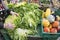 Green vegetables in women hands at a grocery market. Female chooses healthy food