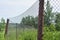 Green vegetation behind a metal wire mesh fence. Old rusty grid and metal pipes with greens on a blurred background. Temporary or