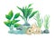 Green Vegetation of Deep Sea Vector Illustration