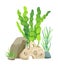 Green Vegetation of Deep Sea Vector Illustration