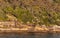 Green vegetation on North Head Cliffs at sunrise, Sydney, Australia