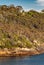 Green vegetation portrait on North Head Cliffs at sunrise, Sydney, Australia