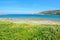 Green vegetation by the sea in Gallura