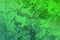 Green very much grungy material stucco texture - cute abstract photo background