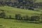 Green view - meadows and a farm, Peak District, the UK.