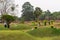 Green View over Chao Pho Khao Chalak Cemetery, Bang Phra, Thailand