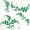 Green vine vector