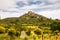 Green Vines in CorbiÃ¨re Wine Region Rolling Landscape in front of Aguilar Cathar Castle in Aude, France