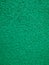 Green vinyl dust trap carpet