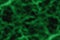 Green virus background