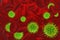 Green viruses in blood