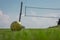 Green volleyball field on a grass, visible ball and a net on a s