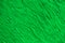 Green wall for backgrounds vintage Textures Plaster wall cement plasterwork (2