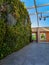 Green wall full of flowers and bushes inside Concordia Design building