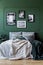 Green wall with gallery of poster in trendy bedroom interior with double bed