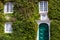 Green wall in a sustainable building, with vertical garden in the facade. Ecological buildings facade with plans and flower on it