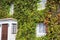 Green wall in a sustainable building, with vertical garden in the facade. Ecological buildings facade with plans and flower on it