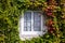 Green wall in a sustainable building, with vertical garden in the facade. Ecological buildings facade with plans and flower on it