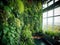 Green wall in sustainable office ISO camera settings