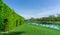 Green wall of the Tooth brush tree on smooth green grass lawn beside a lake and group of trees under clear blue sky