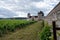 Green walled grand cru and premier cru vineyards with rows of pinot noir grapes plants in Cote de nuits, making of famous red