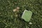 Green wallet with coins on the grass