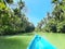 Green water , Maron river , coconat trees,boat