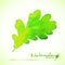 Green watercolor painted vector oak leaf