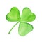 Green watercolor shamrock illustration