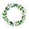 Green watercolor wreath. Composition of fresh summer foliage and tree branches