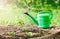 Green watering can in garden on ground