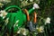 Green Watering Can with Gardening Equipment behind