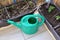 Green watering can and seedlings (tomato, onion) in flower boxes as part of urban garden on the balcony.