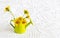 Green watering can and yellow flower on paper texture leaves shape background