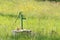 Green waterpump in meadow full of yellow flowers