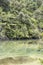 Green waters at Bark bay estuary with rain forest thick lush vegetation on shore, near Kaiteriteri, Abel Tasman park, New Zealand