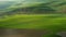 Green wavy hills with agricultural fields