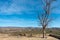 The green way of Lucainena under the blue sky in Almeria