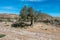 The green way of Lucainena under the blue sky in Almeria